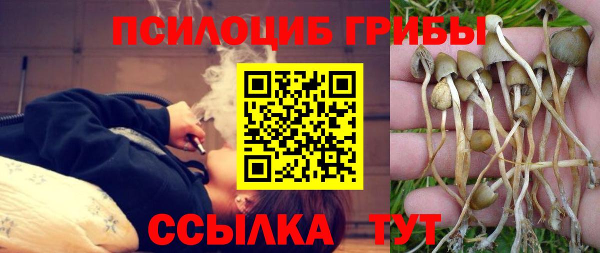 Галлюциногенные грибы GOLDEN TEACHER  Вход с VPN  Белая Калитва  Галлюциногенные грибы мицелий 